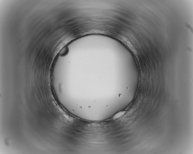 X0000096150898200802081409