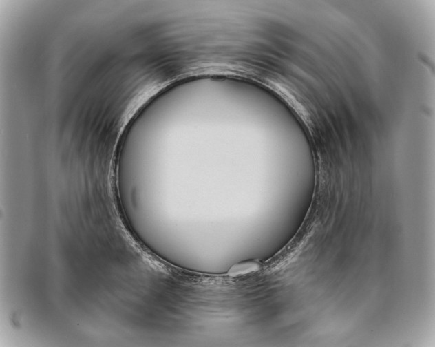 X0000096150901200802081409