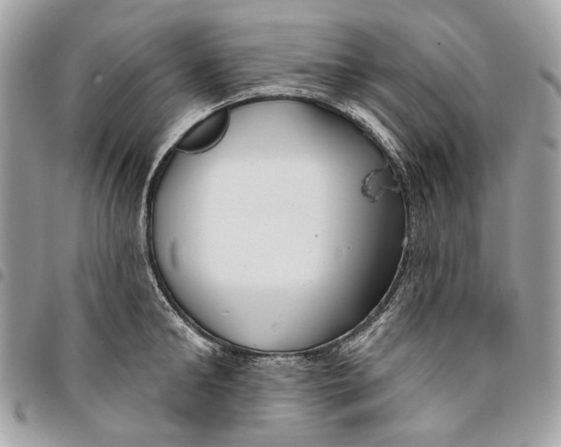 X0000096150902200802081409