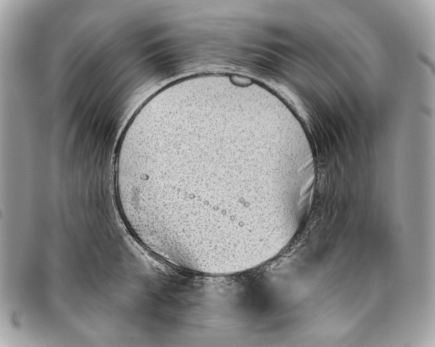 X0000096150903200802081409