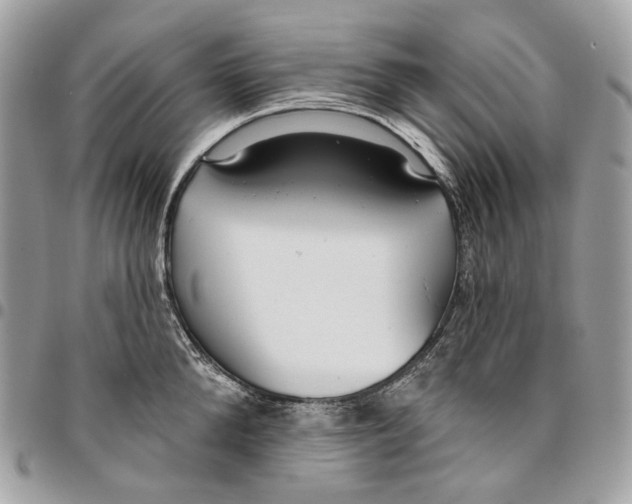 X0000096150904200802081409