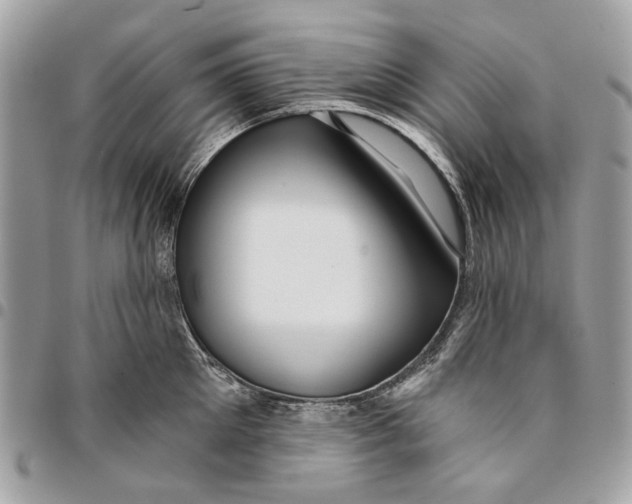 X0000096150905200802081409