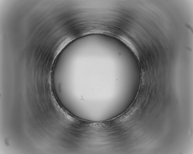 X0000096150906200802081409