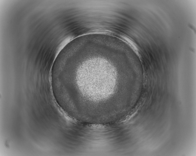 X0000096150907200802081408