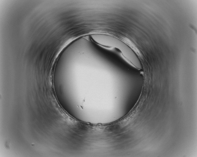 X0000096150908200802081408