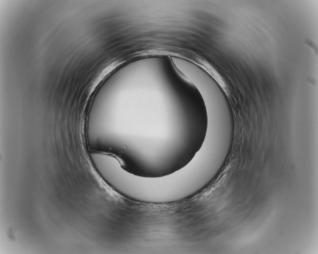 X0000096150909200802081408