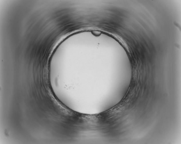 X0000096150911200802081408