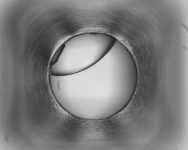 X0000096150912200802081408