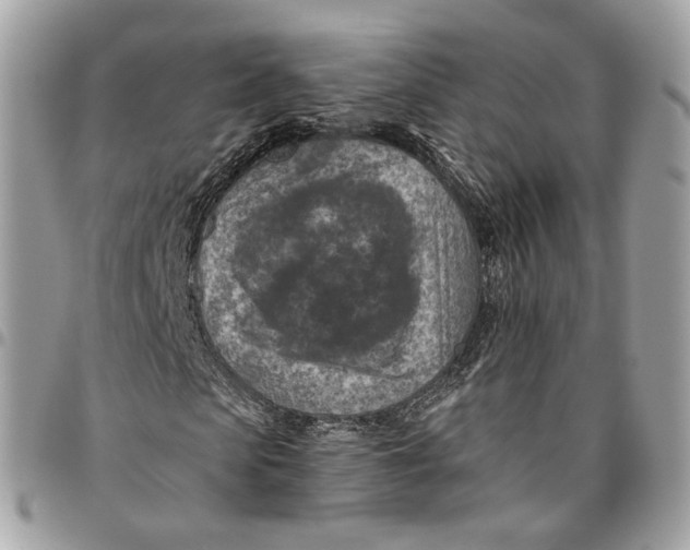 X0000096150913200802081408