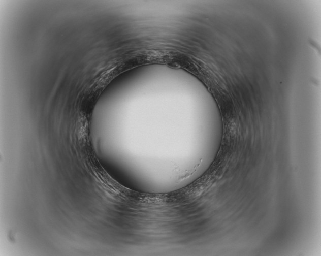 X0000096150914200802081408