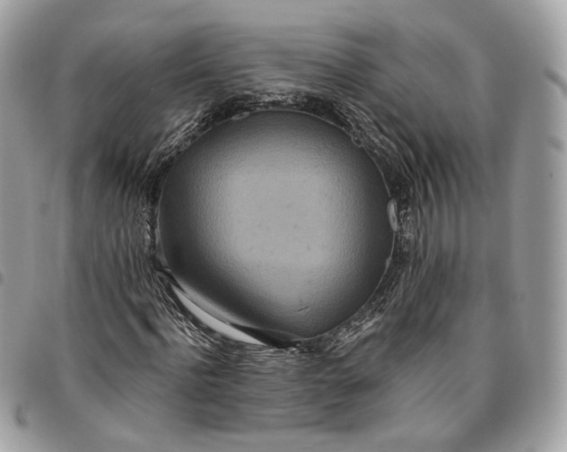 X0000096150916200802081408