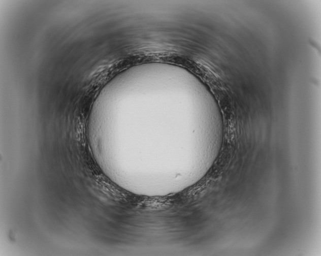 X0000096150917200802081408