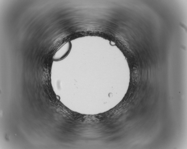 X0000096150918200802081408