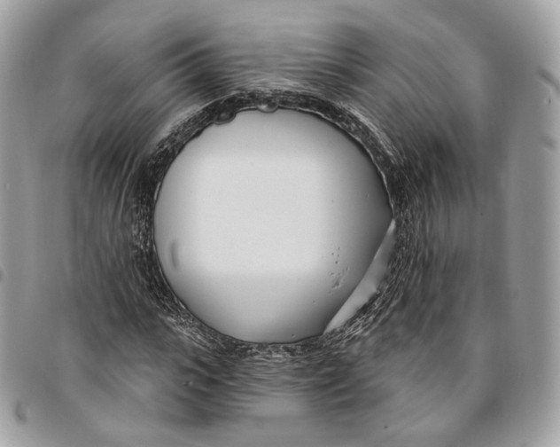 X0000096150919200802081408