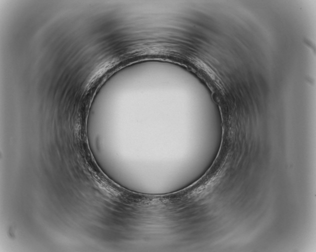 X0000096150922200802081408