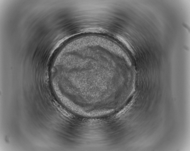 X0000096150923200802081408