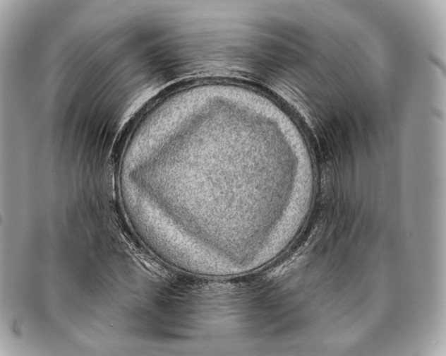 X0000096150925200802081408