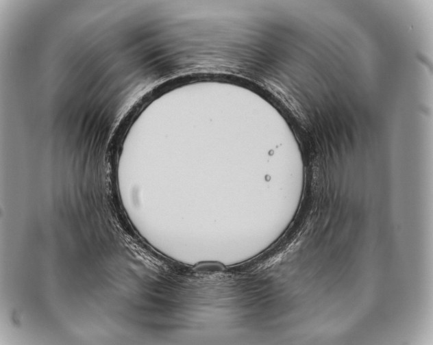 X0000096150926200802081408