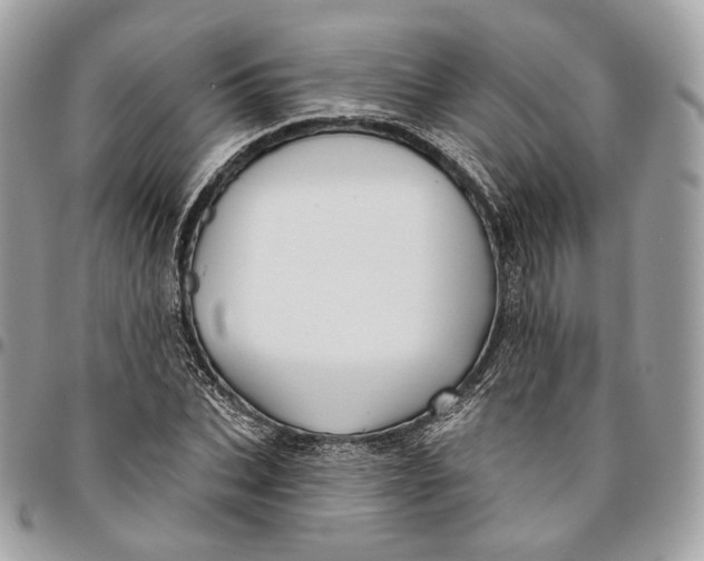 X0000096150927200802081408