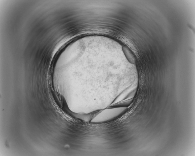 X0000096150928200802081408