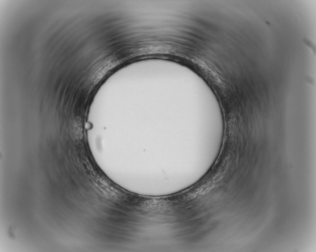 X0000096150929200802081408