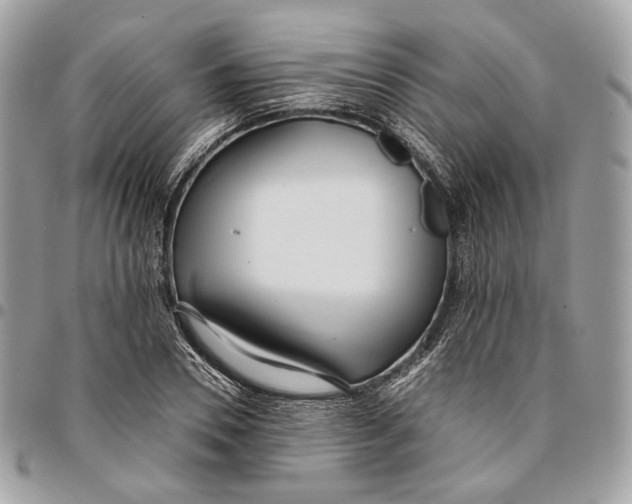 X0000096150930200802081408