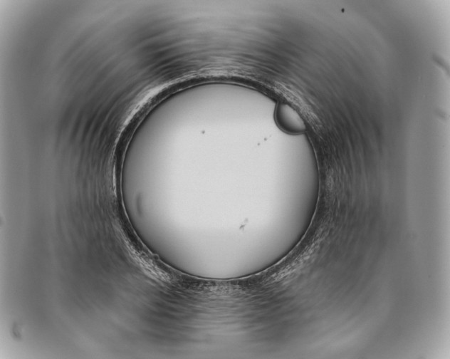 X0000096150934200802081408