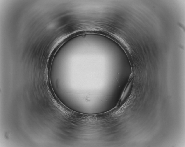 X0000096150935200802081408