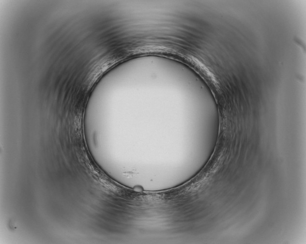 X0000096150937200802081408