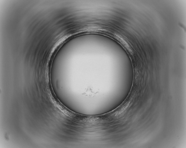 X0000096150939200802081408