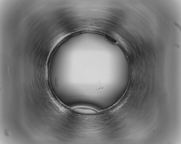 X0000096150940200802081408