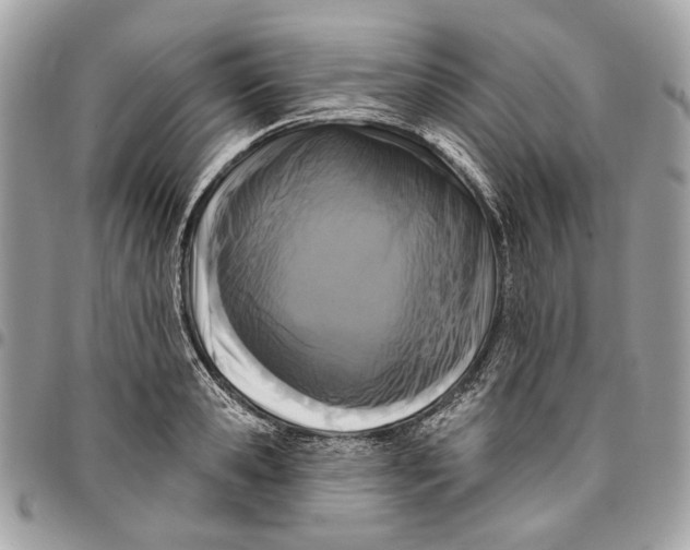 X0000096150941200802081408