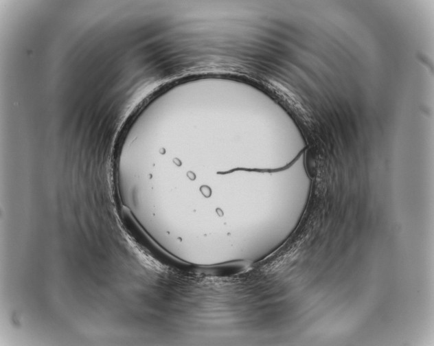 X0000096150942200802081408