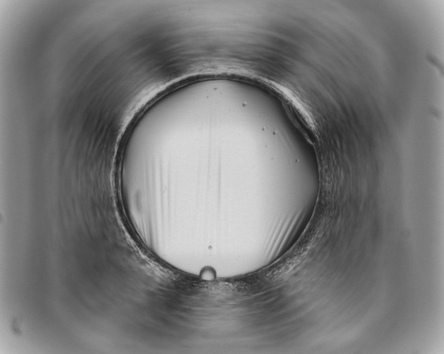 X0000096150943200802081408