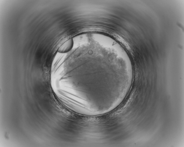 X0000096150945200802081408