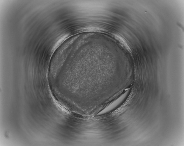 X0000096150946200802081408