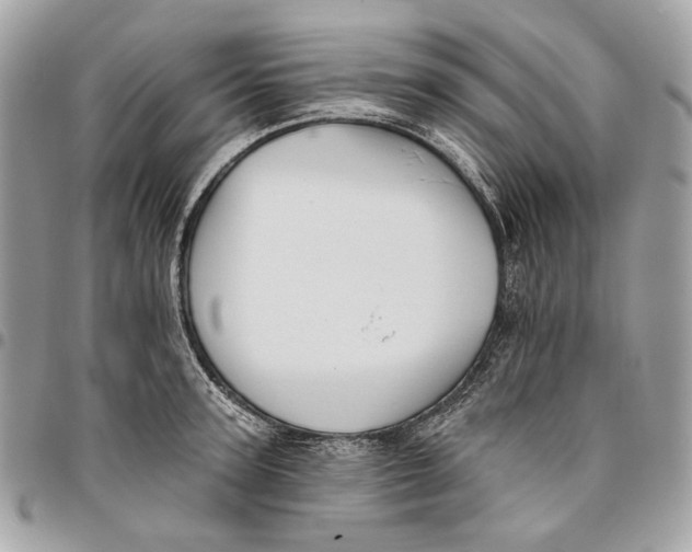 X0000096150947200802081408