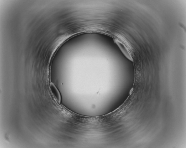 X0000096150948200802081408