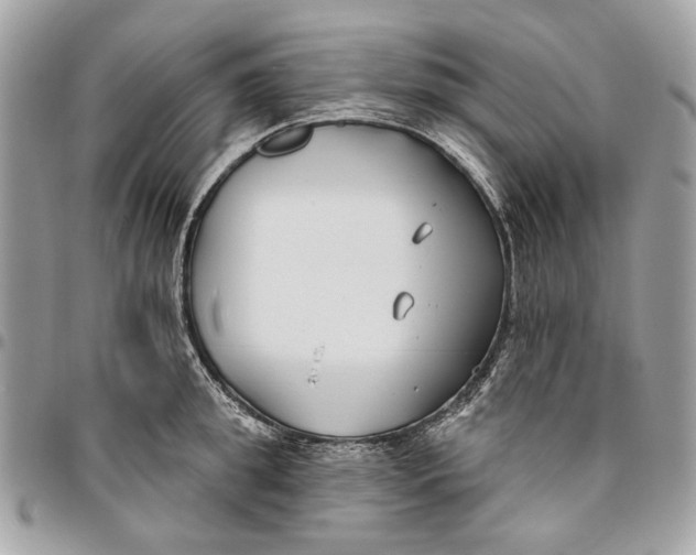 X0000096150949200802081408