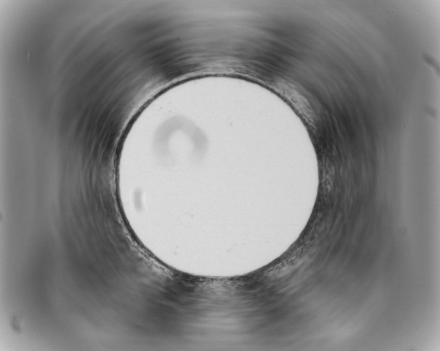 X0000096150950200802081408