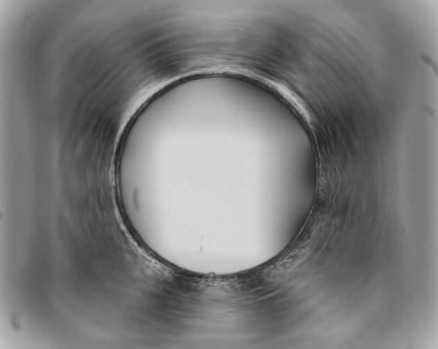 X0000096150951200802081408