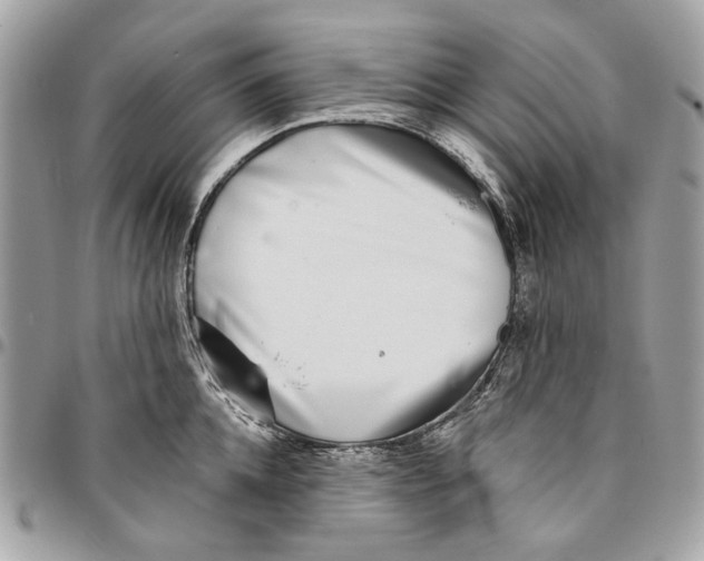 X0000096150952200802081408