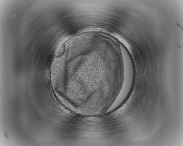 X0000096150953200802081408