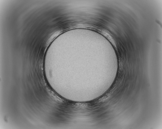 X0000096150954200802081408