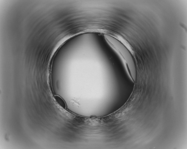 X0000096150955200802081408