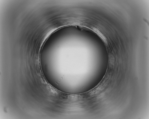 X0000096150956200802081408