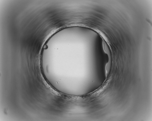 X0000096150957200802081408