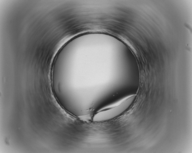 X0000096150959200802081408