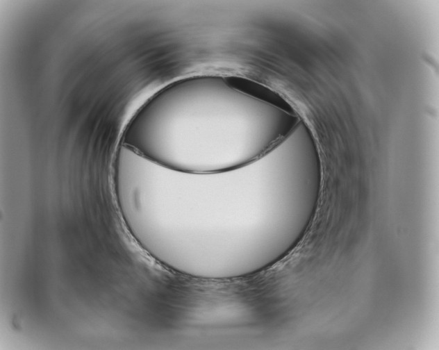 X0000096150960200802081408