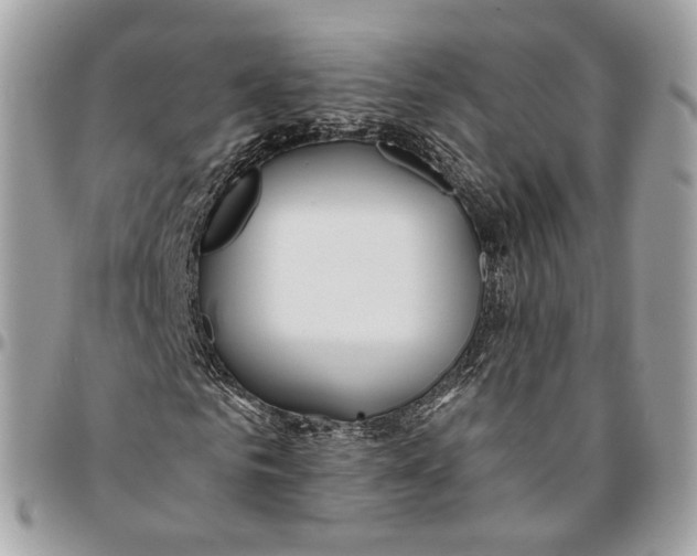 X0000096150961200802081408